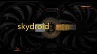 skydroid